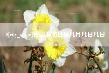 内蒙古我国消防日是几月几日几日
