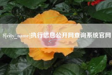 内蒙古执行信息公开网查询系统官网