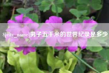 内蒙古男子五千米的世界纪录是多少