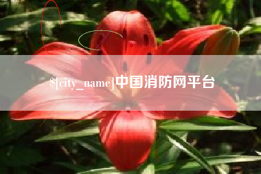 内蒙古中国消防网平台