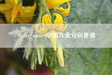 内蒙古中国九金分别是谁