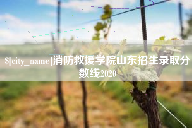 内蒙古消防救援学院山东招生录取分数线2020