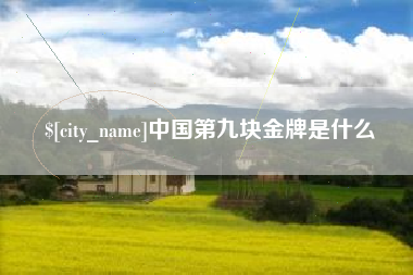 内蒙古中国第九块金牌是什么