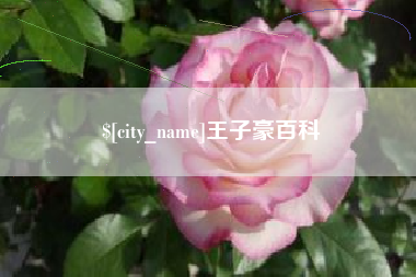 内蒙古王子豪百科