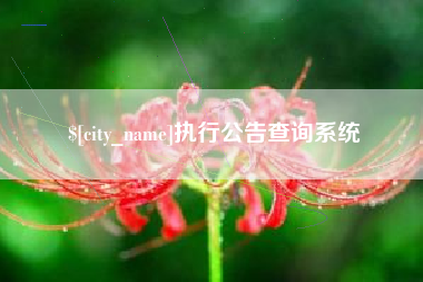 内蒙古执行公告查询系统