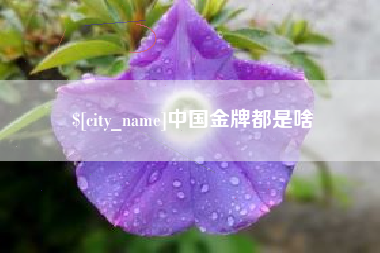内蒙古中国金牌都是啥