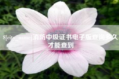 内蒙古消防中级证书电子版查询多久才能查到