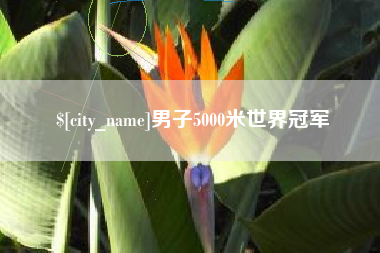 内蒙古男子5000米世界冠军