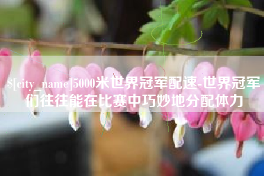 内蒙古5000米世界冠军配速-世界冠军们往往能在比赛中巧妙地分配体力
