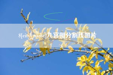 内蒙古九宫图分割线图片
