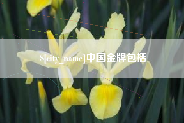 内蒙古中国金牌包括