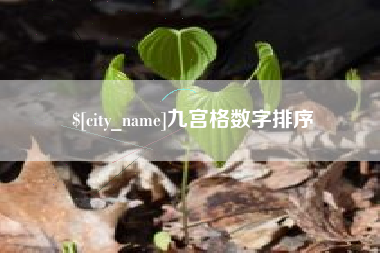 内蒙古九宫格数字排序