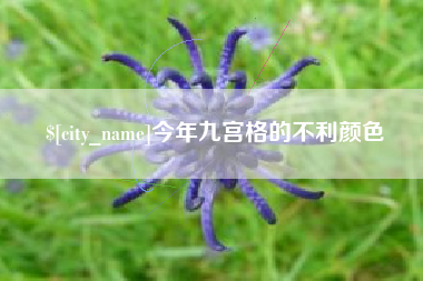 内蒙古今年九宫格的不利颜色