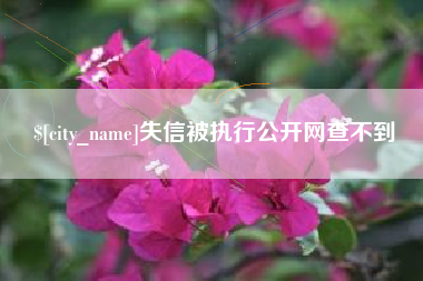 内蒙古失信被执行公开网查不到
