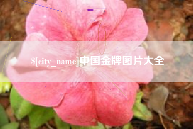 内蒙古中国金牌图片大全