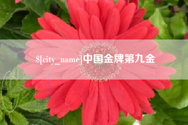 内蒙古中国金牌第九金