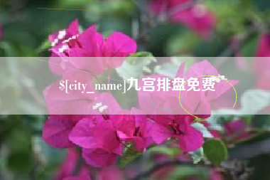 内蒙古九宫排盘免费