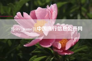 内蒙古1.中国执行信息公开网