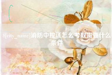 内蒙古消防中控证怎么考取需要什么条件