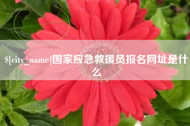 内蒙古国家应急救援员报名网址是什么