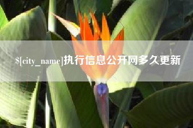 内蒙古执行信息公开网多久更新