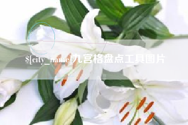 内蒙古九宫格盘点工具图片