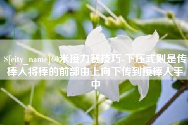 内蒙古60米接力赛技巧-下压式则是传棒人将棒的前部由上向下传到接棒人手中