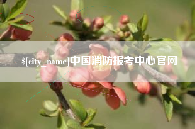 内蒙古中国消防报考中心官网