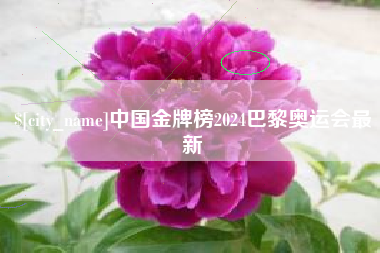 内蒙古中国金牌榜2024巴黎奥运会最新