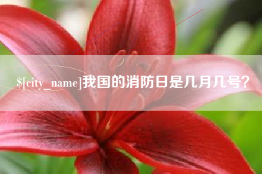 内蒙古我国的消防日是几月几号？