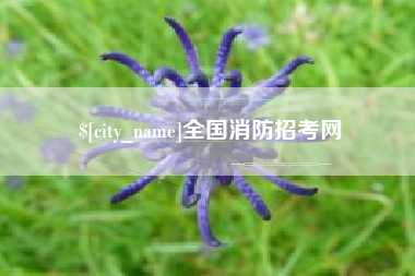 内蒙古全国消防招考网