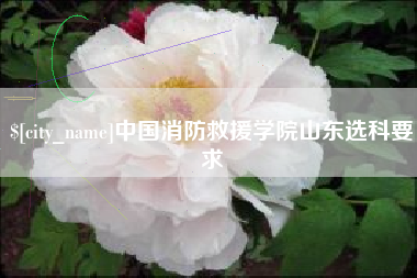 内蒙古中国消防救援学院山东选科要求