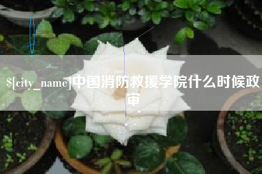 内蒙古中国消防救援学院什么时候政审