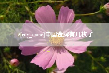 内蒙古中国金牌有几枚了