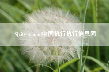 内蒙古中国执行执行信息网