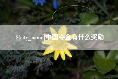 内蒙古中国夺金有什么奖励