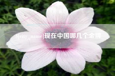 内蒙古现在中国哪几个金牌