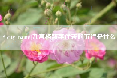 内蒙古九宫格数字代表的五行是什么