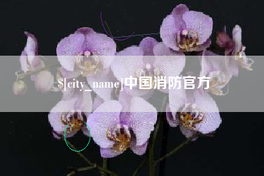 内蒙古中国消防官方