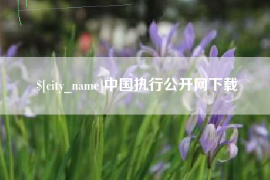 内蒙古中国执行公开网下载