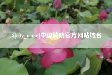 内蒙古中国消防官方网站域名
