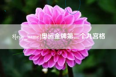 内蒙古奥运金牌第二个九宫格