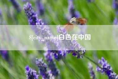 内蒙古白色在中国