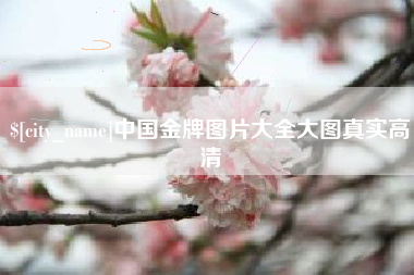 内蒙古中国金牌图片大全大图真实高清