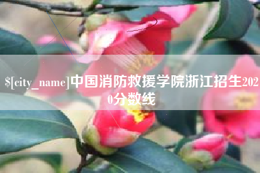 内蒙古中国消防救援学院浙江招生2020分数线