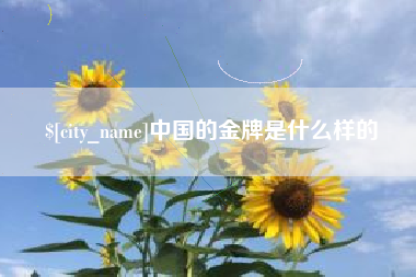 内蒙古中国的金牌是什么样的