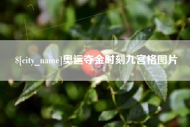 内蒙古奥运夺金时刻九宫格图片
