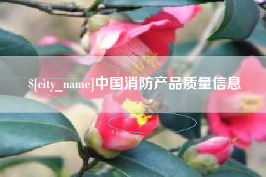 内蒙古中国消防产品质量信息