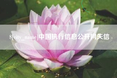 内蒙古中国执行信息公开网失信