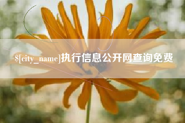 内蒙古执行信息公开网查询免费